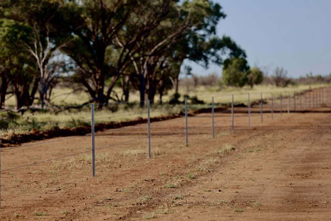 1468 Benlidi Idalia Road, Blackall For Sale by Farmbuy.com - image 7
