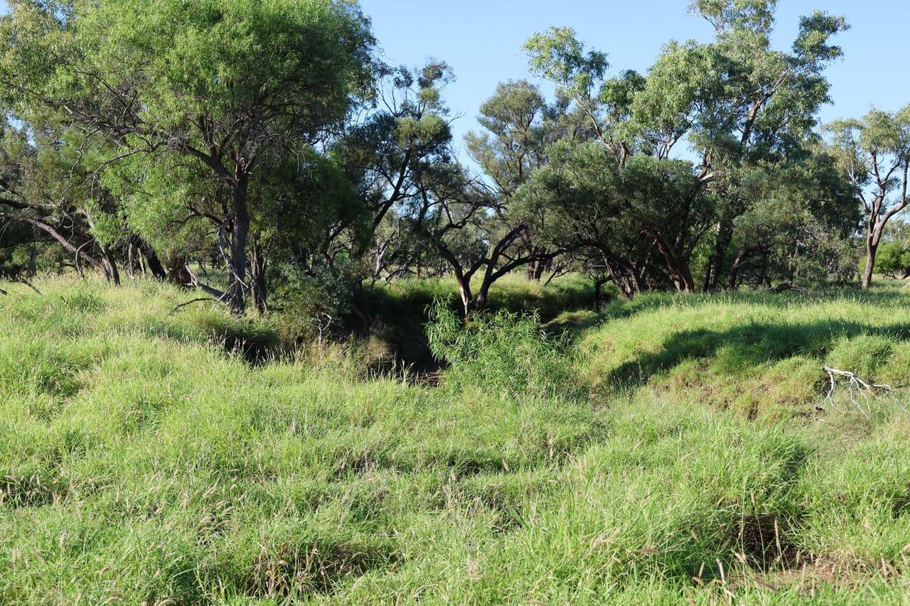1468 Benlidi Idalia Road, Blackall For Sale by Farmbuy.com - image 25