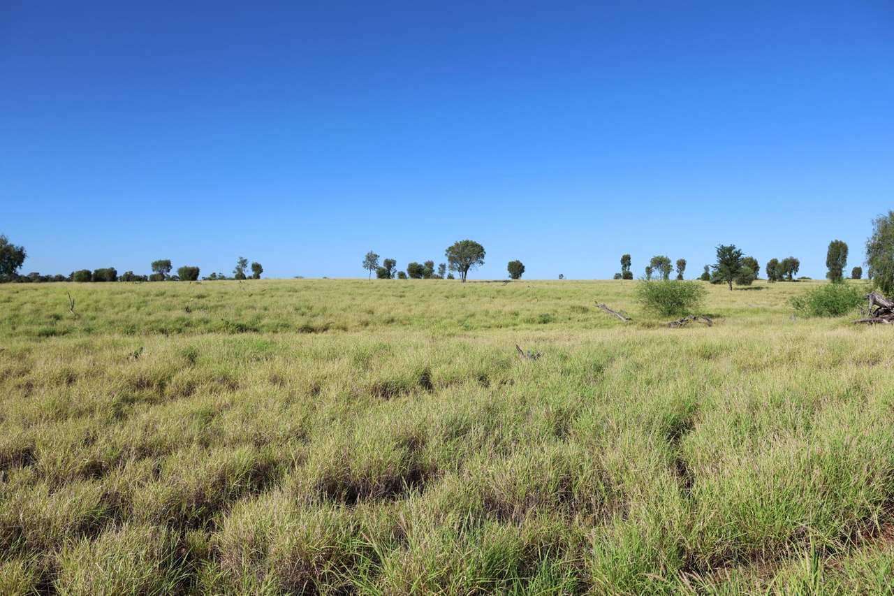 1468 Benlidi Idalia Road, Blackall For Sale by Farmbuy.com - image 20