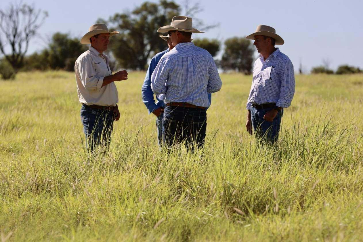 1468 Benlidi Idalia Road, Blackall For Sale by Farmbuy.com - image 6