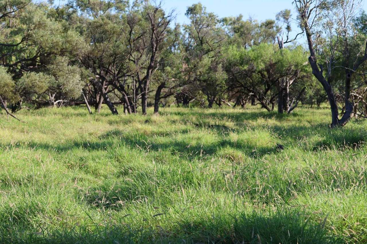 1468 Benlidi Idalia Road, Blackall For Sale by Farmbuy.com - image 27
