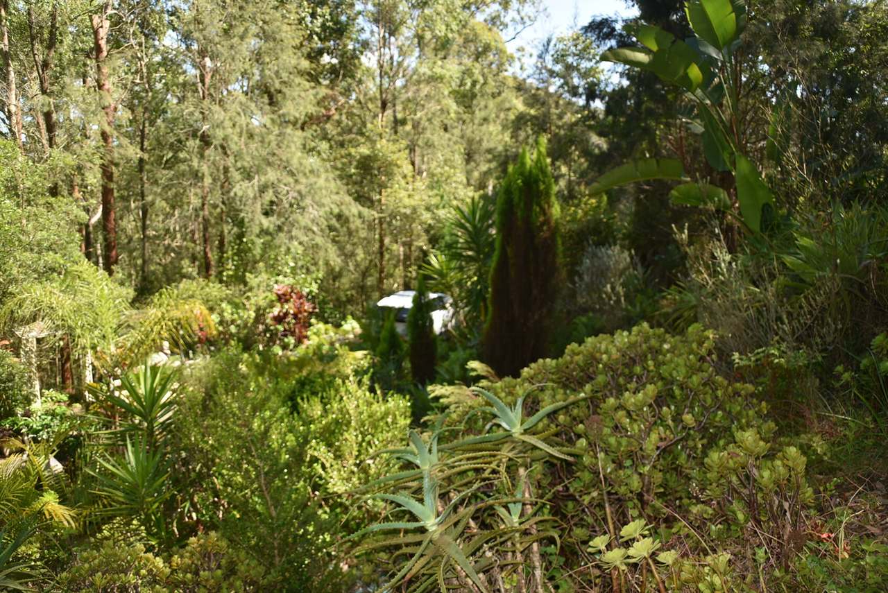 16 School House Road , Crawford River  For Sale by Farmbuy.com - image 9
