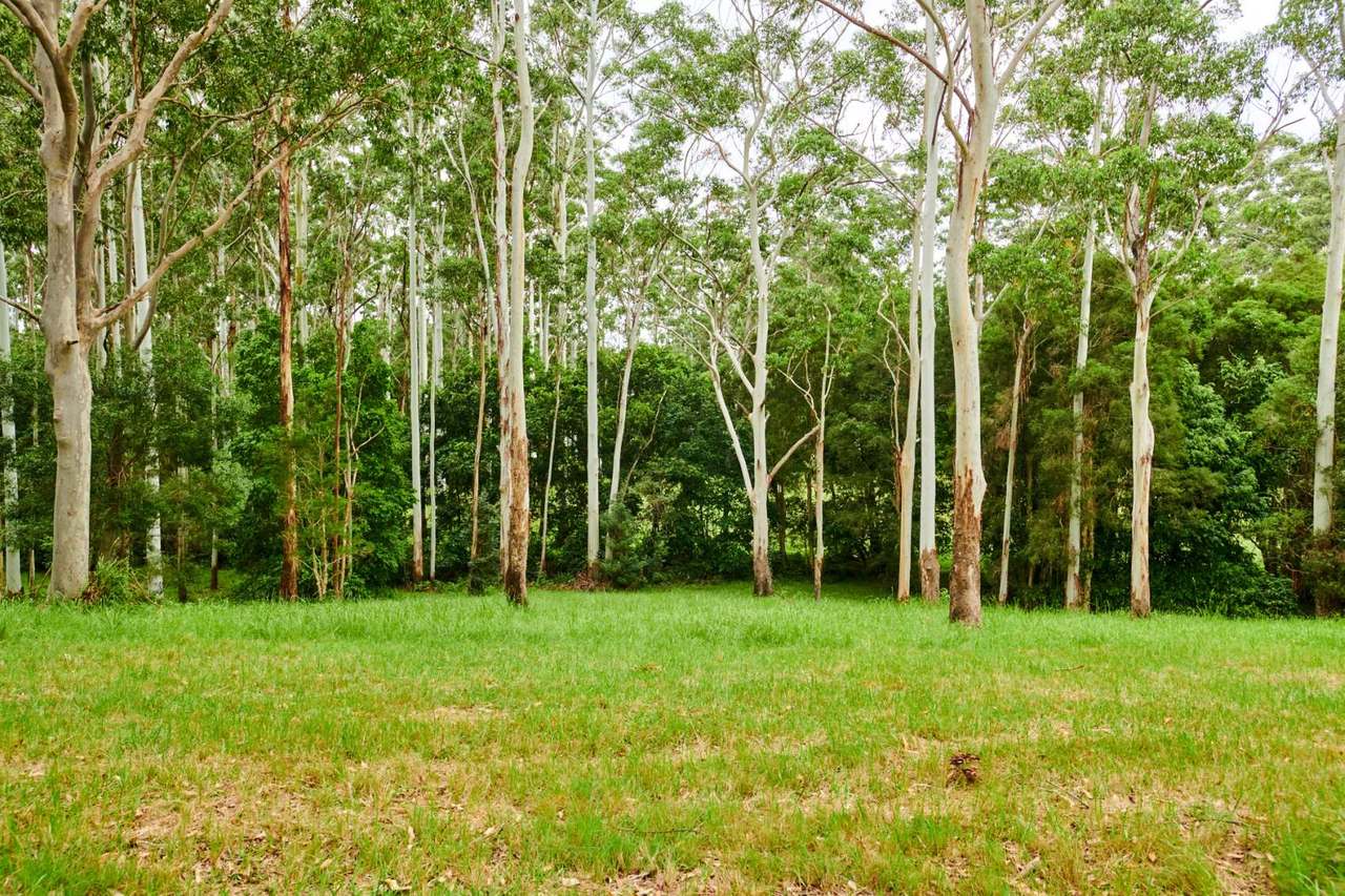 90 Squire's Hill Road, Boolambayte For Sale by Farmbuy.com - image 34