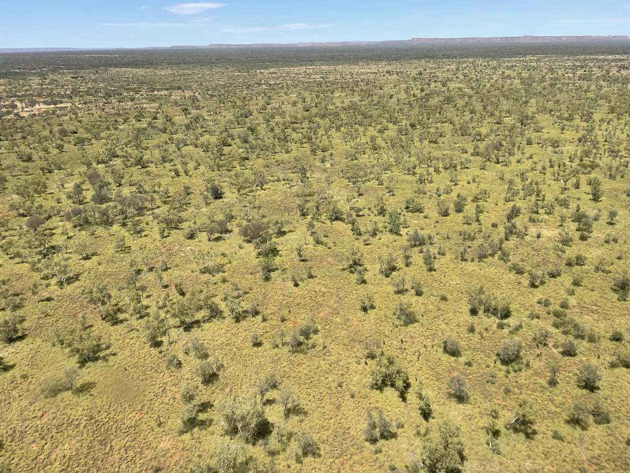 21985 Stuart Highway, Davenport For Sale by Farmbuy.com - image 23