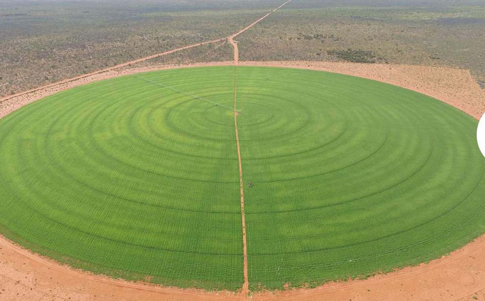 21985 Stuart Highway, Davenport For Sale by Farmbuy.com - image 20