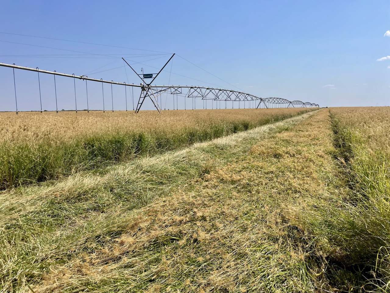 21985 Stuart Highway, Davenport For Sale by Farmbuy.com - image 28