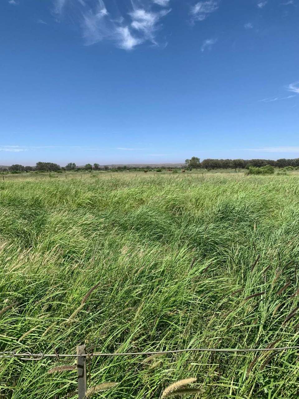 21985 Stuart Highway, Davenport For Sale by Farmbuy.com - image 21