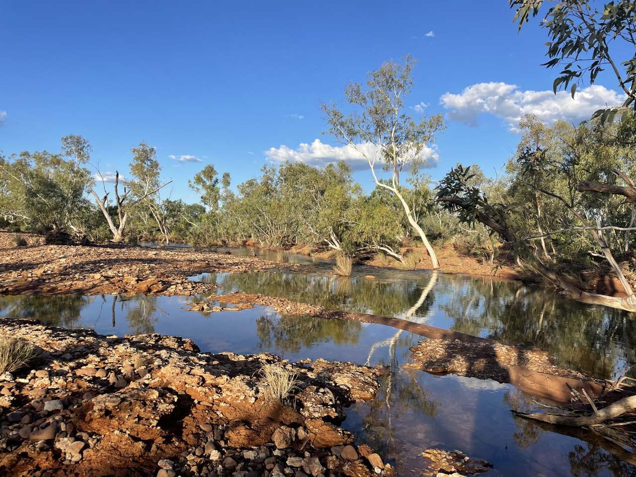 21985 Stuart Highway, Davenport For Sale by Farmbuy.com - image 34