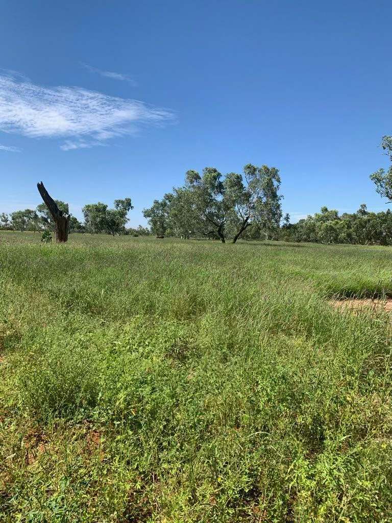 21985 Stuart Highway, Davenport For Sale by Farmbuy.com - image 22