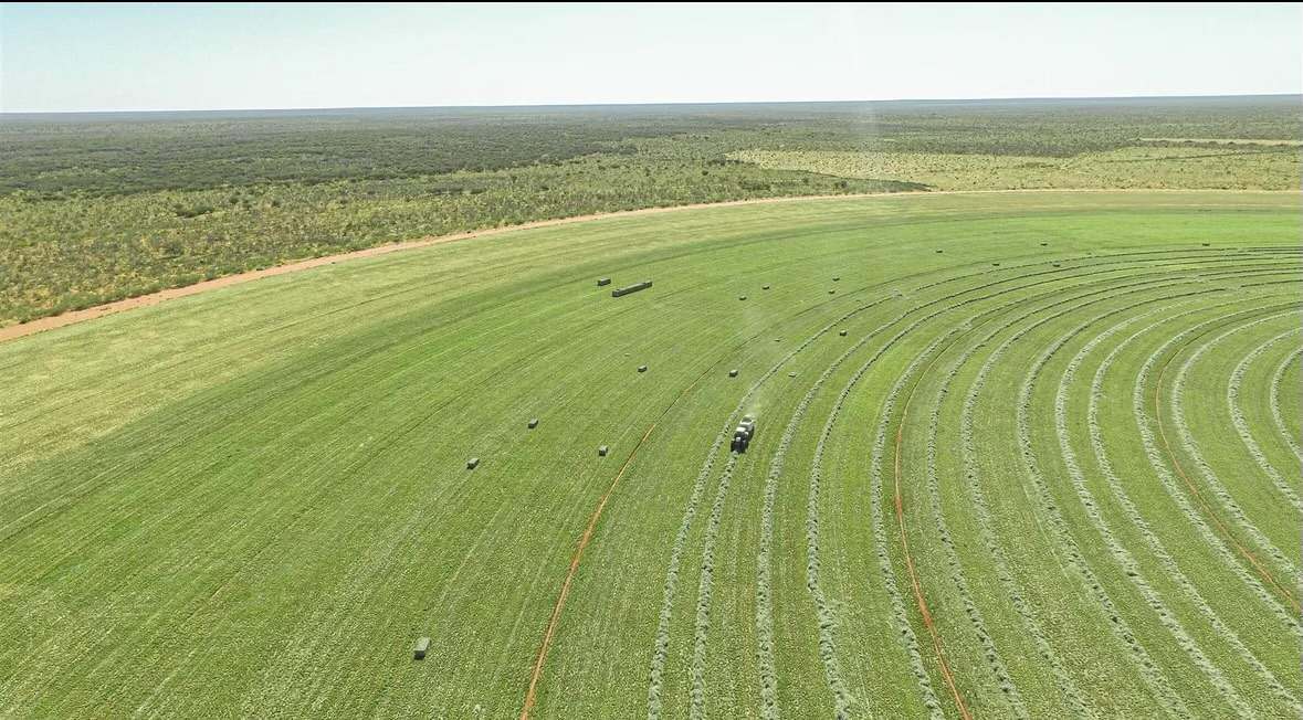 21985 Stuart Highway, Davenport For Sale by Farmbuy.com - image 26