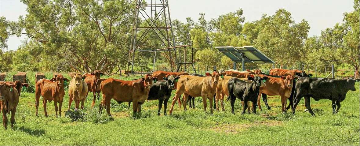 21985 Stuart Highway, Davenport For Sale by Farmbuy.com - image 29