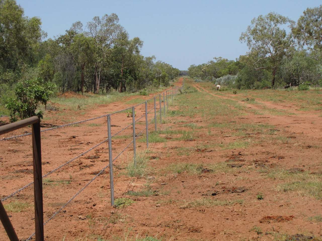 21985 Stuart Highway, Davenport For Sale by Farmbuy.com - image 4