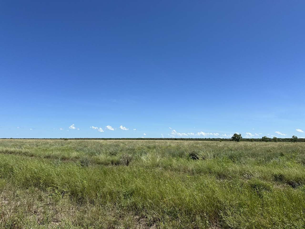 21985 Stuart Highway, Davenport For Sale by Farmbuy.com - image 13