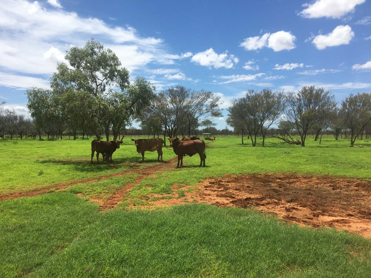 21985 Stuart Highway, Davenport For Sale by Farmbuy.com - image 30