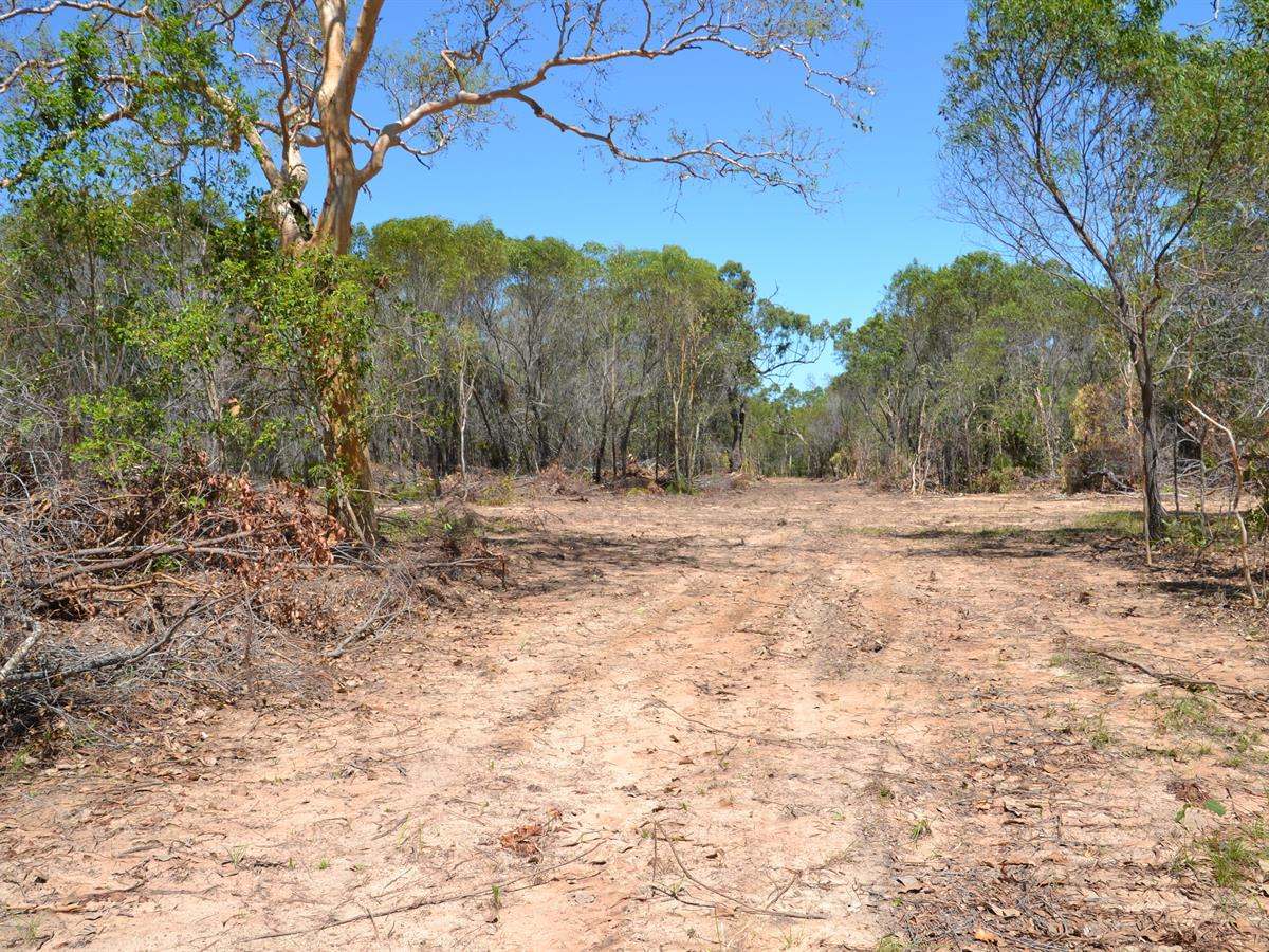 Lot 101 Greenhill Road, Ilbilbie For Sale by Farmbuy.com - image 14