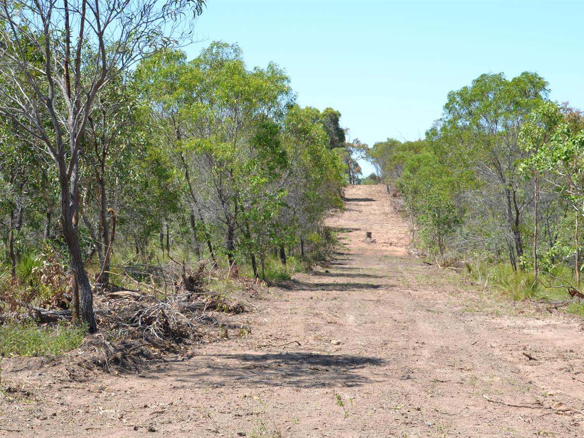 Lot 101 Greenhill Road, Ilbilbie For Sale by Farmbuy.com - image 12