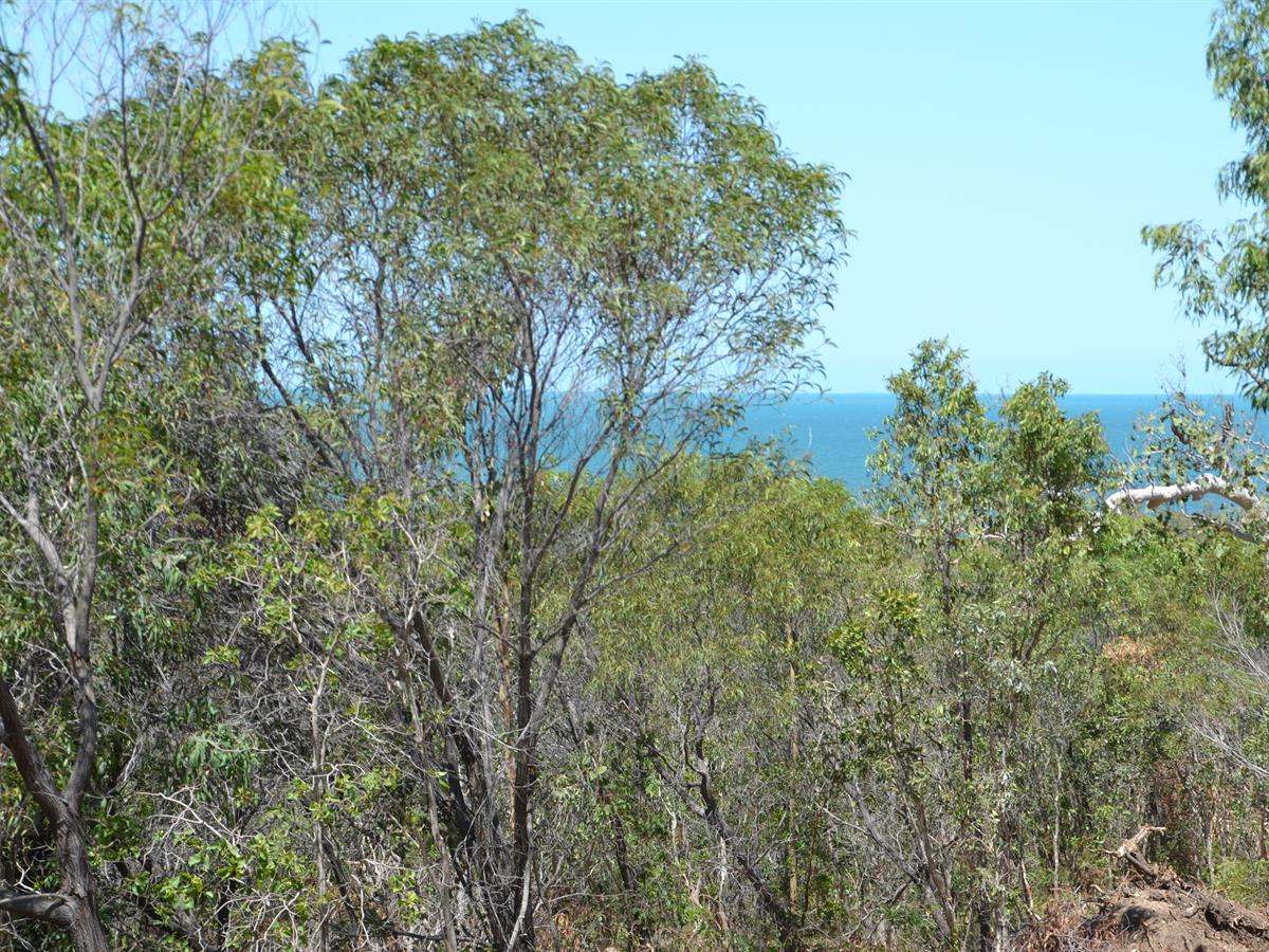 Lot 101 Greenhill Road, Ilbilbie For Sale by Farmbuy.com - image 10