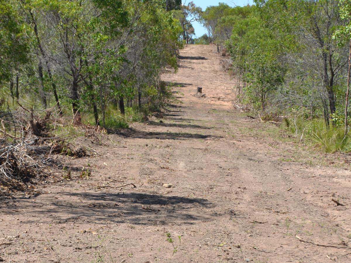 Lot 101 Greenhill Road, Ilbilbie For Sale by Farmbuy.com - image 13