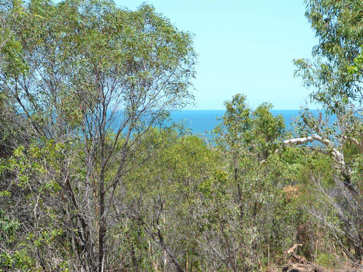 Lot 101 Greenhill Road, Ilbilbie For Sale by Farmbuy.com - image 11