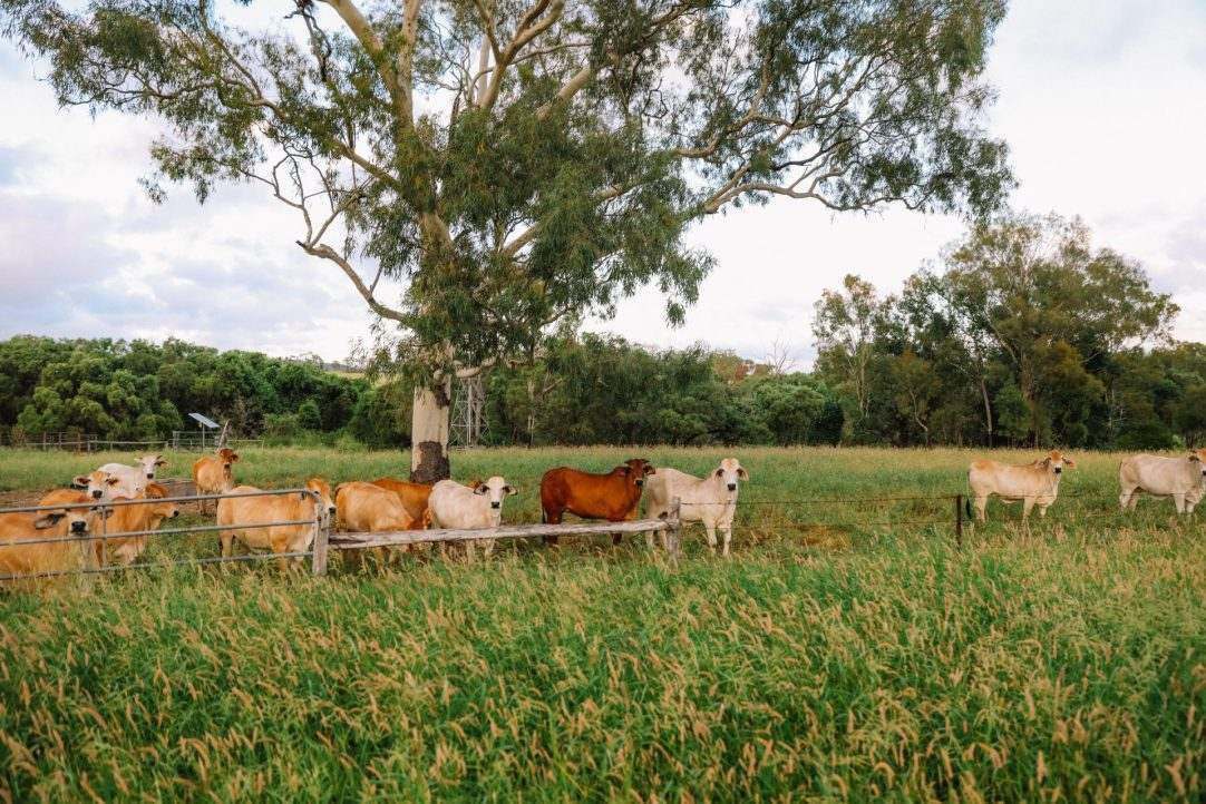 124 Lee Farm Road, Bushley Auction by Farmbuy.com - image 3