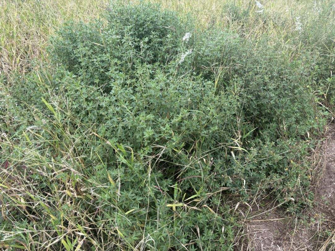 124 Lee Farm Road, Bushley Auction by Farmbuy.com - image 20