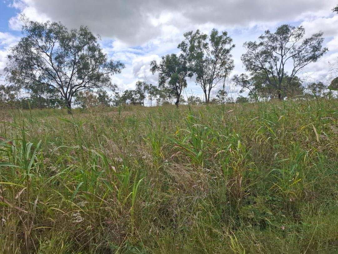 124 Lee Farm Road, Bushley Auction by Farmbuy.com - image 14