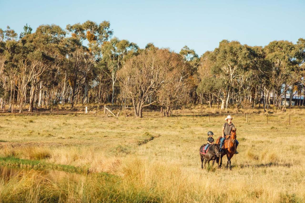 1718 Bungendore Road, Bywong For Sale by Farmbuy.com - image 26