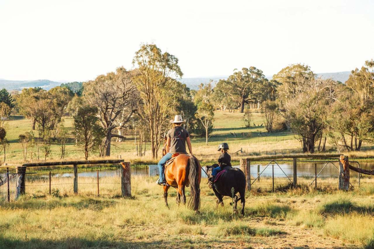 1718 Bungendore Road, Bywong For Sale by Farmbuy.com - image 22