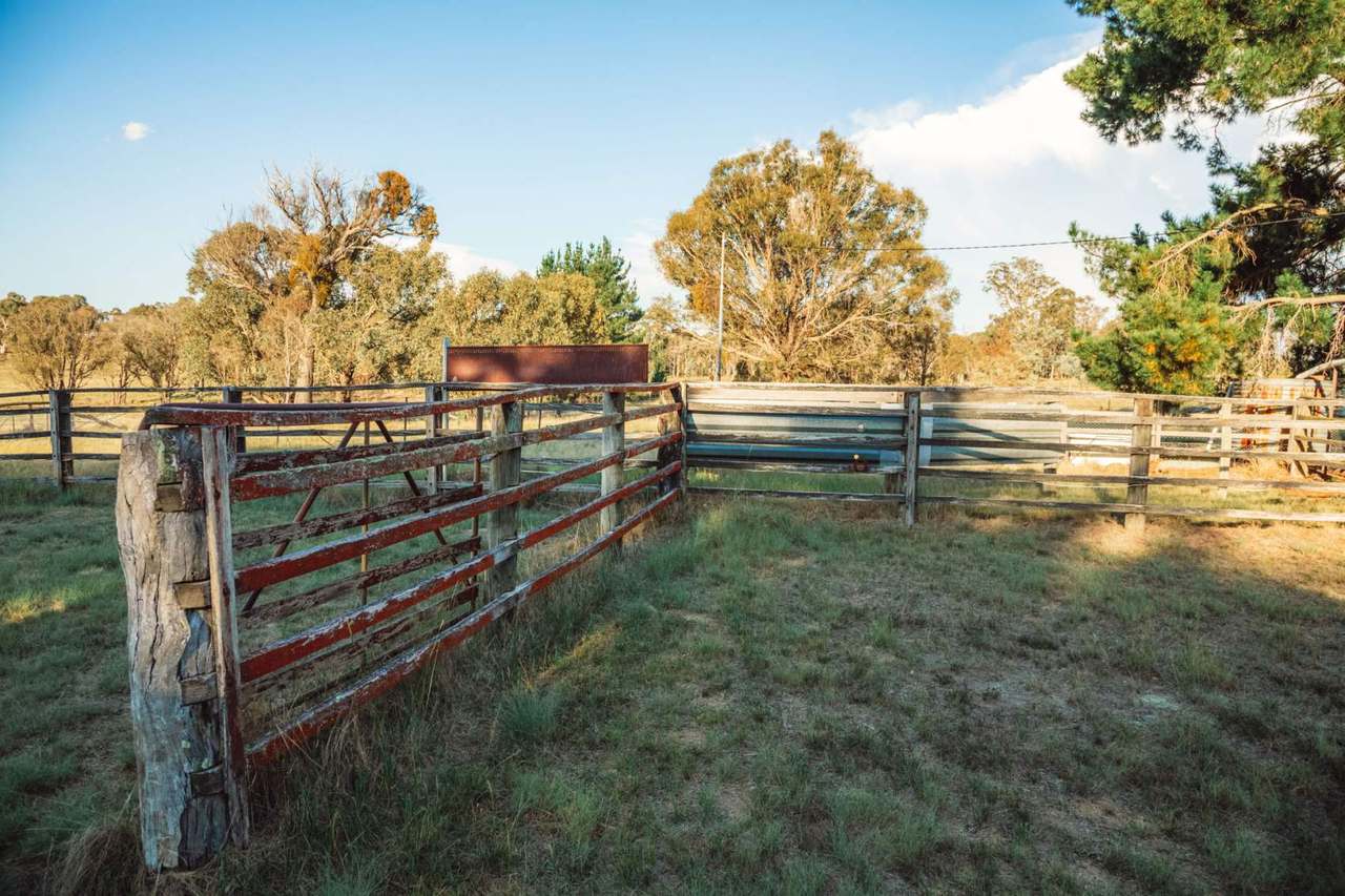 1718 Bungendore Road, Bywong For Sale by Farmbuy.com - image 18