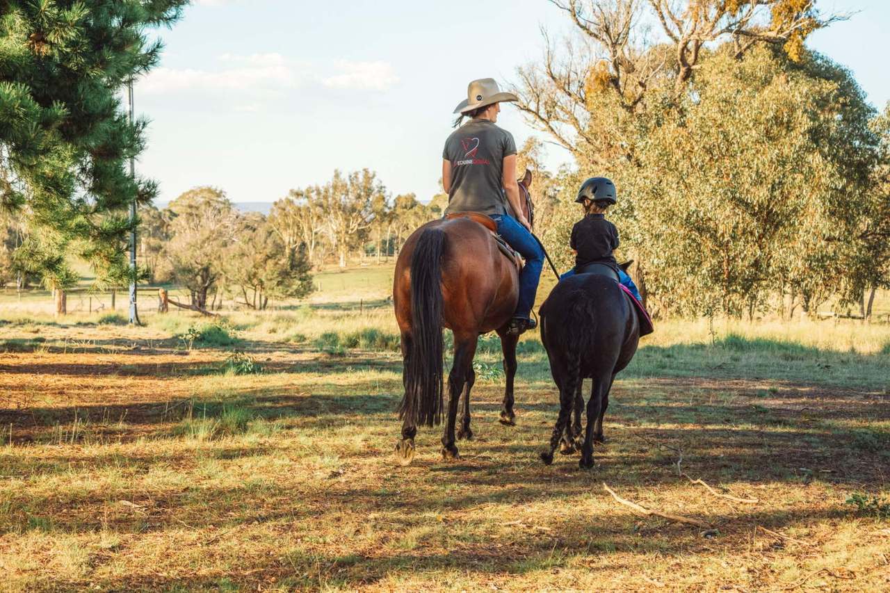 1718 Bungendore Road, Bywong For Sale by Farmbuy.com - image 17