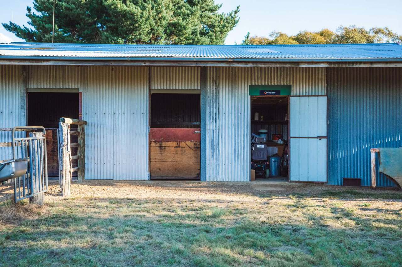 1718 Bungendore Road, Bywong For Sale by Farmbuy.com - image 14