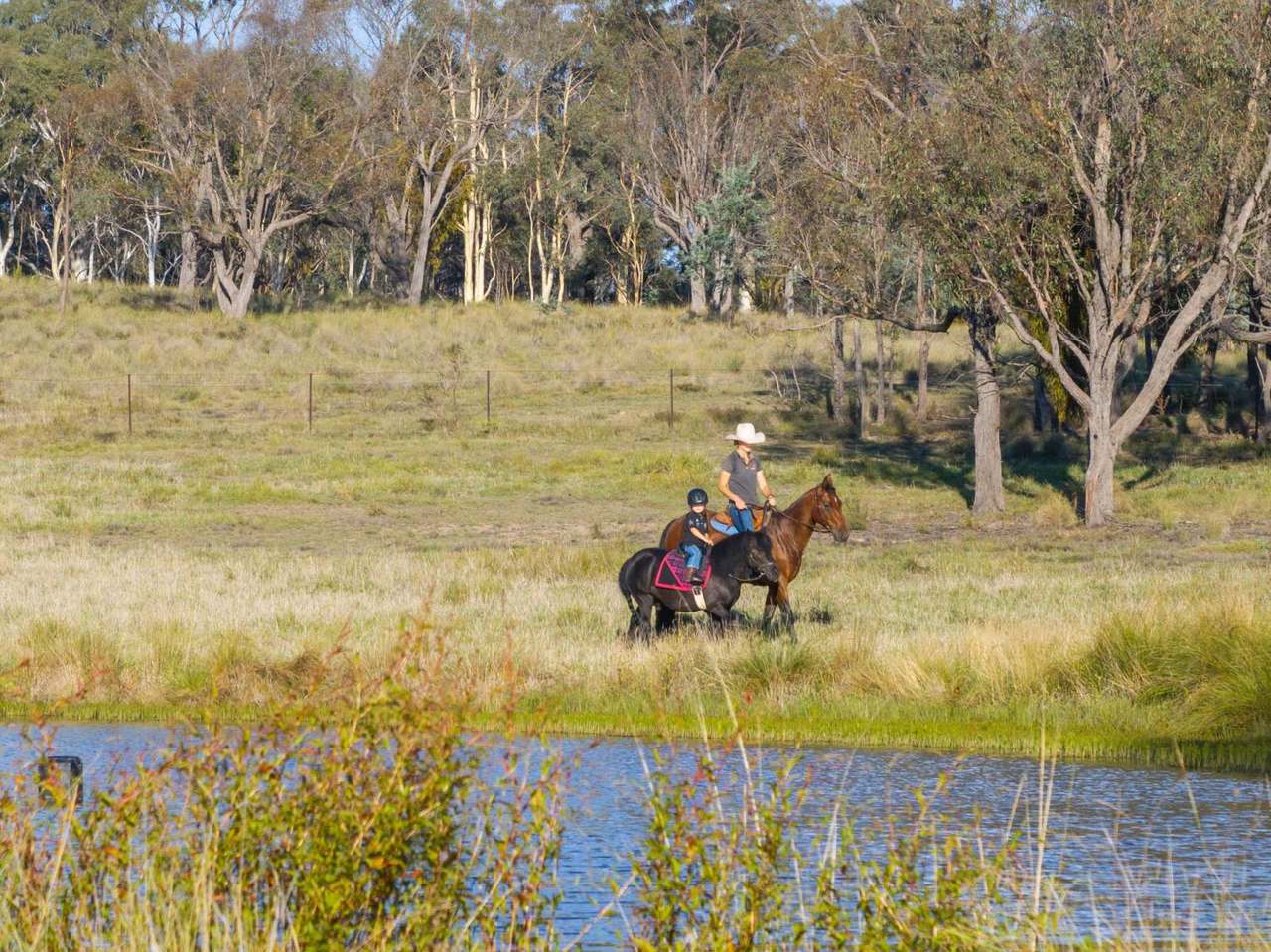 1718 Bungendore Road, Bywong For Sale by Farmbuy.com - image 5