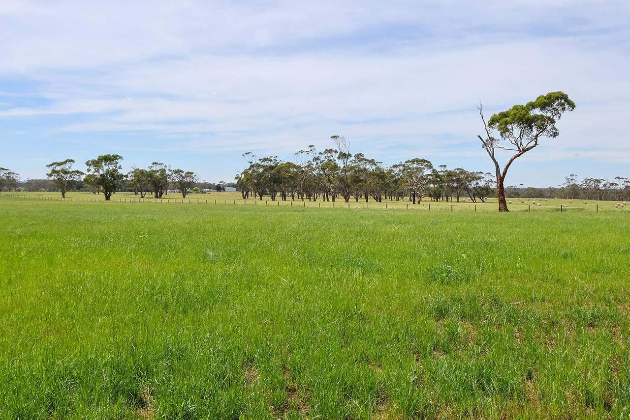 211 Rollos Road , PANMURE For Sale by Farmbuy.com - image 2