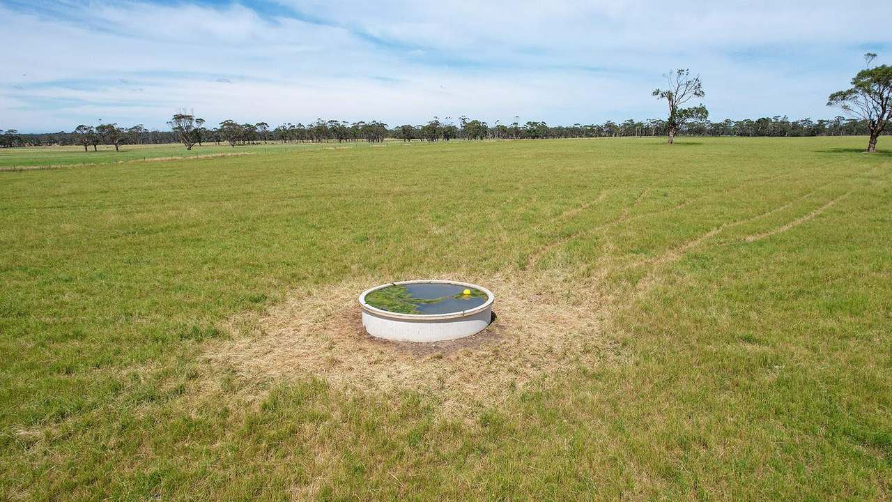 211 Rollos Road , PANMURE For Sale by Farmbuy.com - image 4