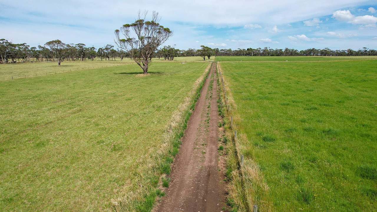 211 Rollos Road , PANMURE For Sale by Farmbuy.com - image 7
