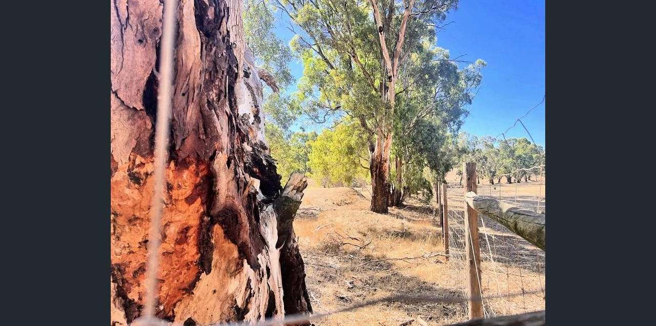 704 Bailla Hill Road , Koppio, For Sale by Farmbuy.com - image 33