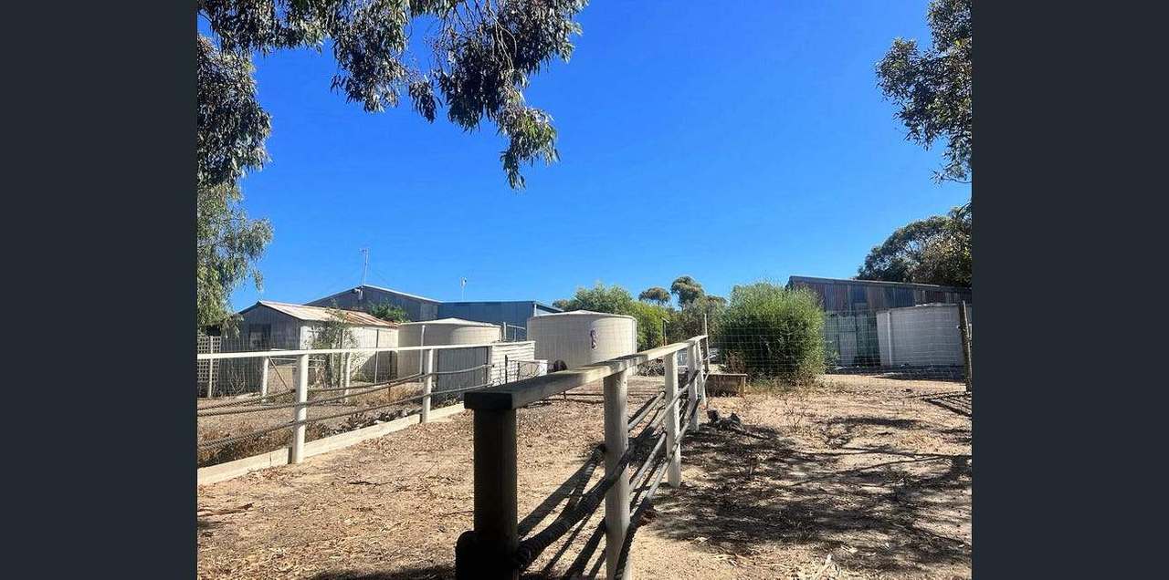 704 Bailla Hill Road , Koppio, For Sale by Farmbuy.com - image 30