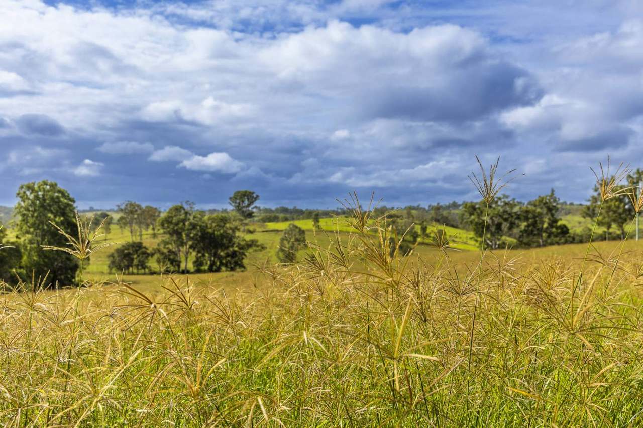 'Rosehill", Takilberan For Sale by Farmbuy.com - image 12