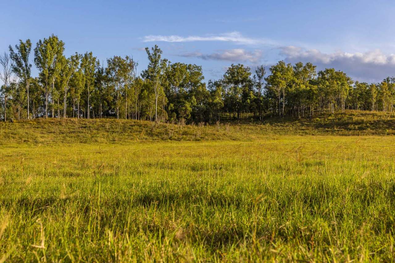 'Rosehill", Takilberan For Sale by Farmbuy.com - image 11