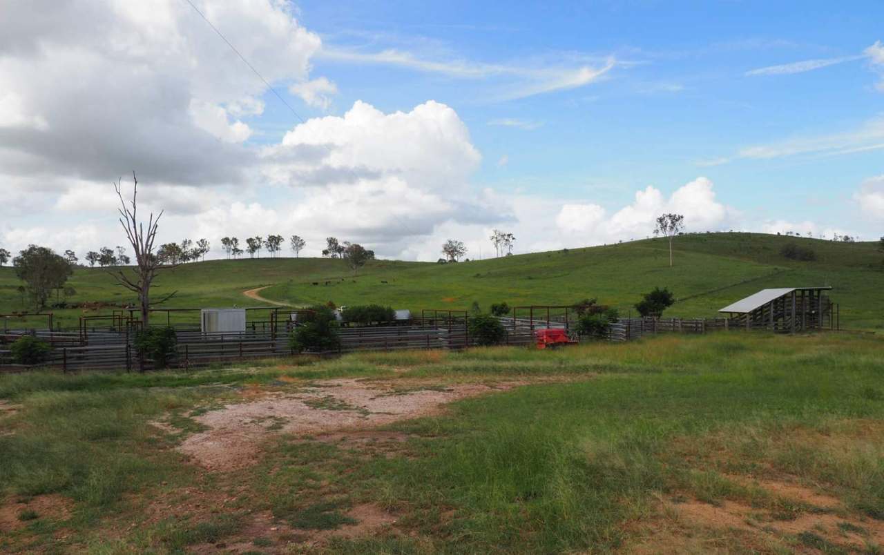 'Rosehill", Takilberan For Sale by Farmbuy.com - image 21