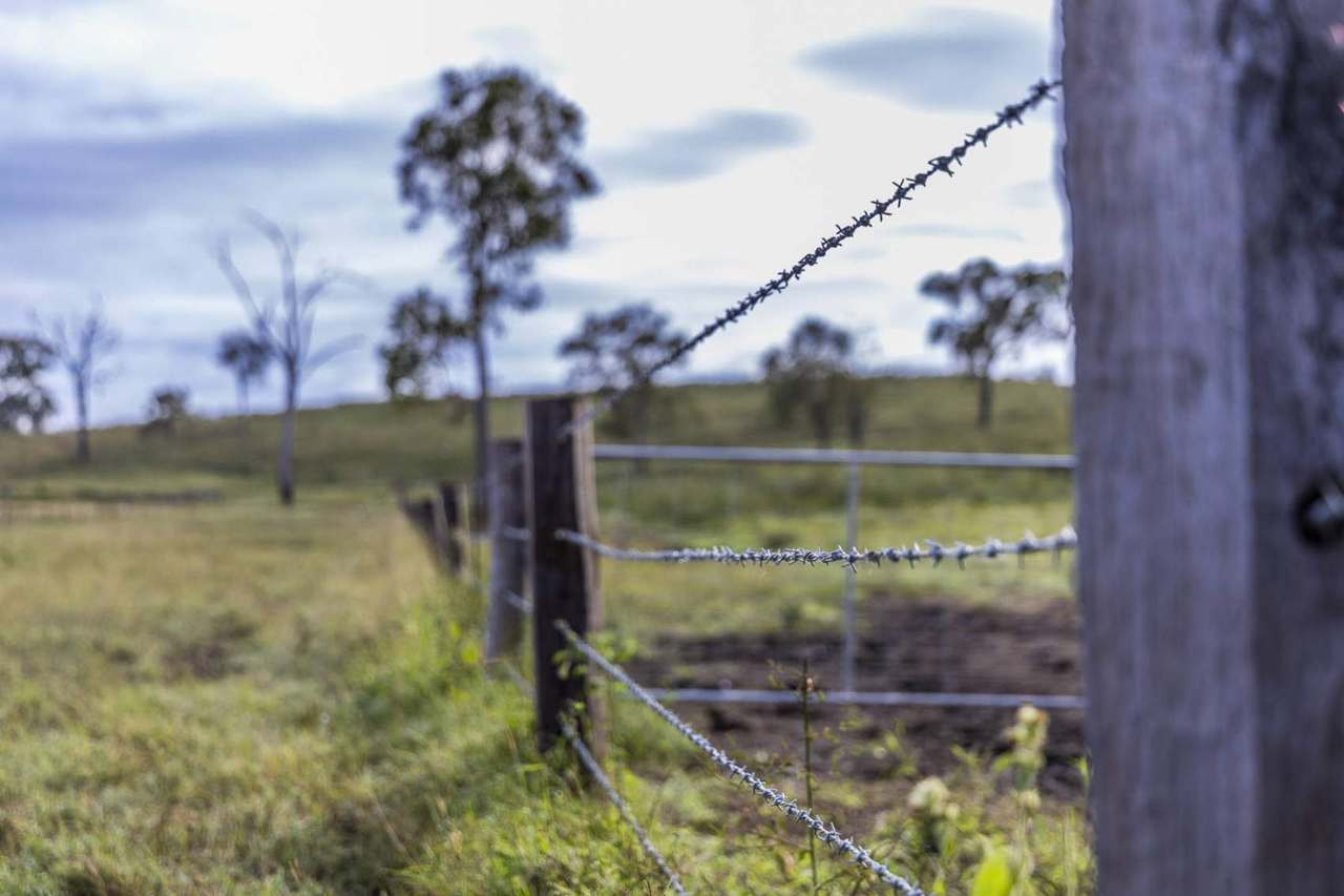 'Rosehill", Takilberan For Sale by Farmbuy.com - image 31