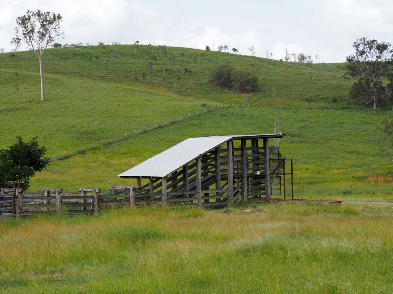 'Rosehill", Takilberan For Sale by Farmbuy.com - image 20