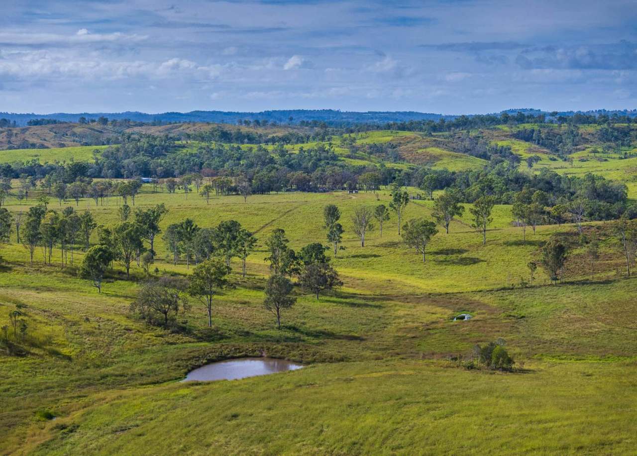 'Rosehill", Takilberan For Sale by Farmbuy.com - image 2
