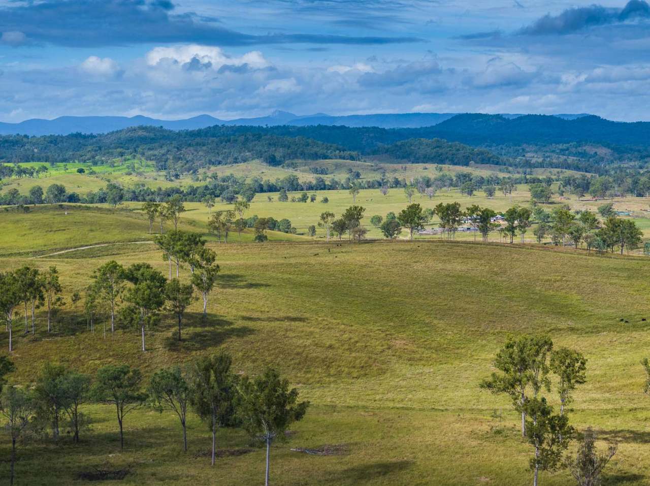 'Rosehill", Takilberan For Sale by Farmbuy.com - image 8