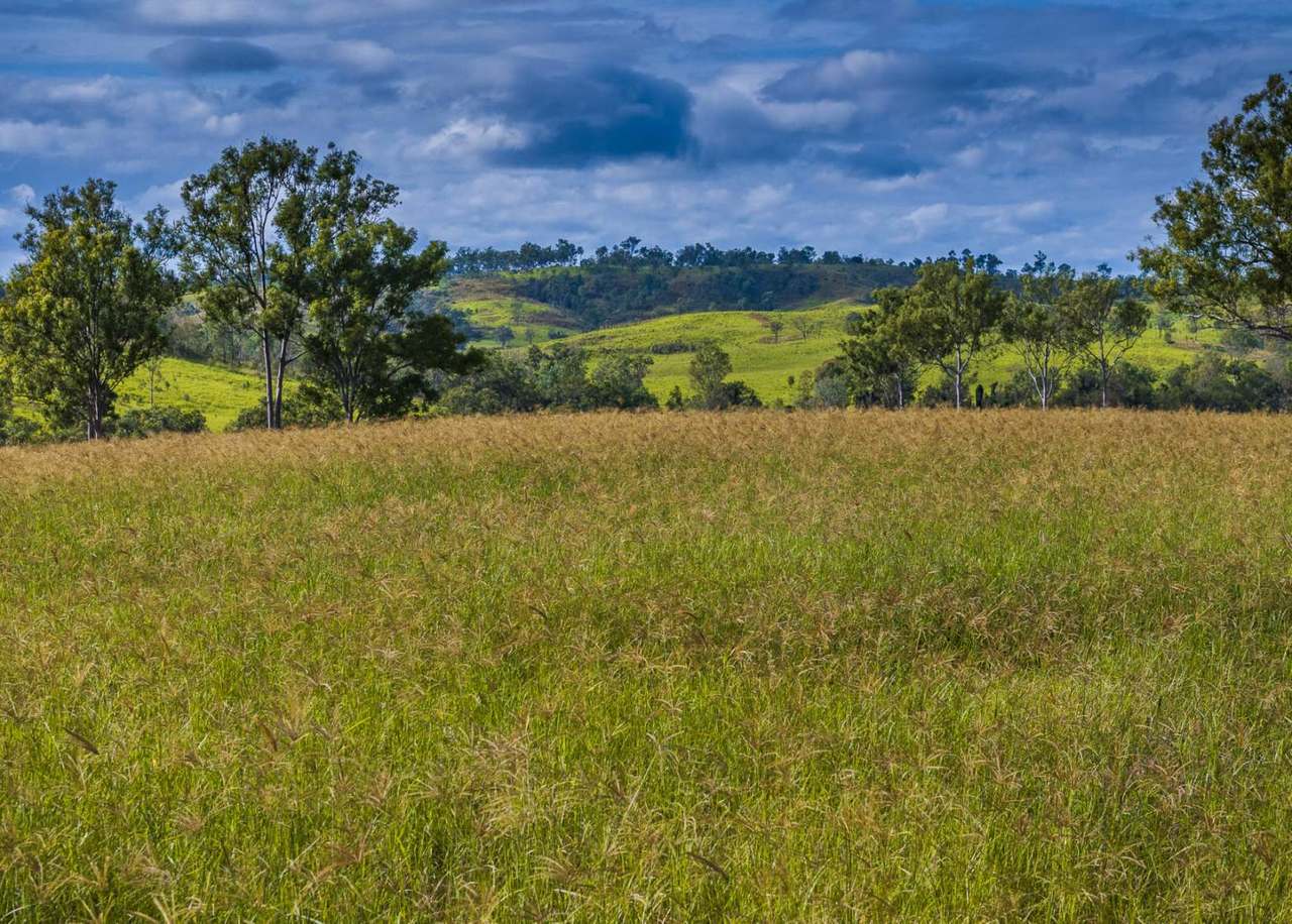 'Rosehill", Takilberan For Sale by Farmbuy.com - image 10