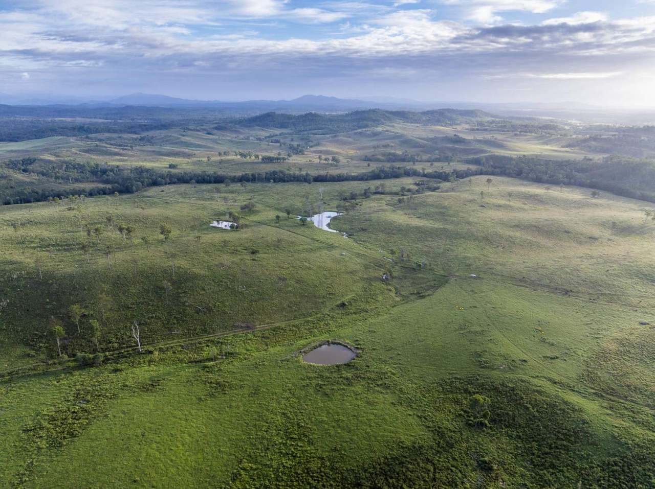 'Rosehill", Takilberan For Sale by Farmbuy.com - image 4