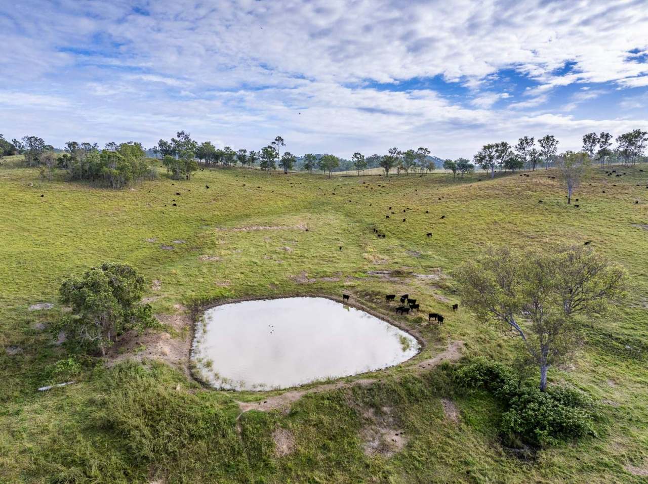 'Rosehill", Takilberan For Sale by Farmbuy.com - image 32