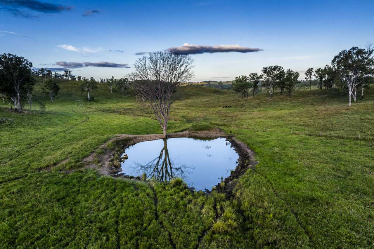 'Rosehill", Takilberan For Sale by Farmbuy.com - image 33