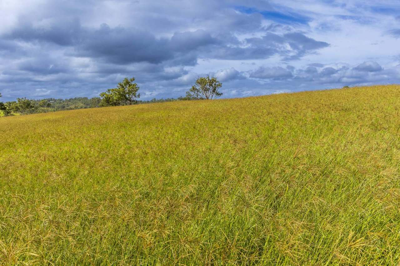 'Rosehill", Takilberan For Sale by Farmbuy.com - image 13
