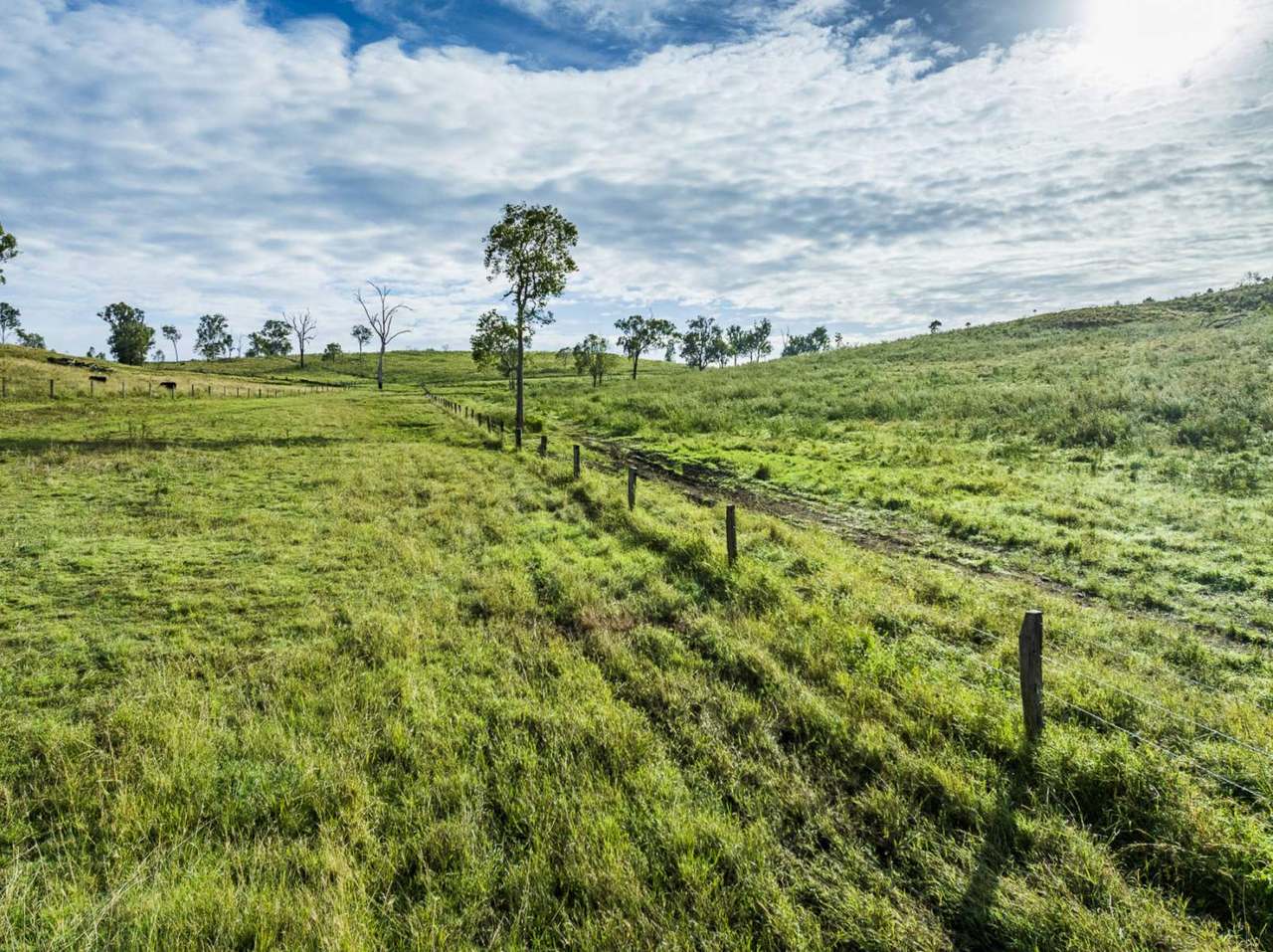 'Rosehill", Takilberan For Sale by Farmbuy.com - image 30